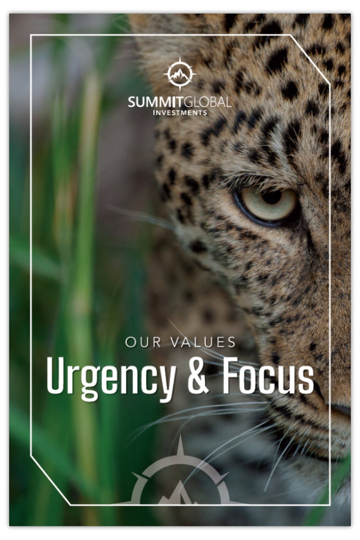 Values Poster – Urgency & Focus (Leopard)